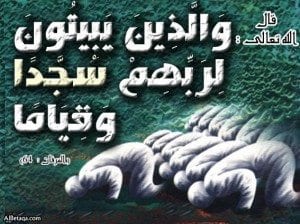 c518546253aa3f92a5873d9b08f1df1f