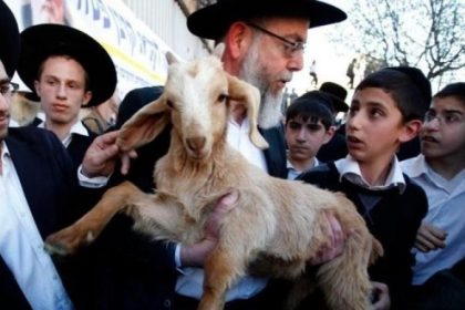 ليس مجرد قربان يريدون ذبحه في المسجد الأقصى – عبد الله معروف – فلسطين أون لاين