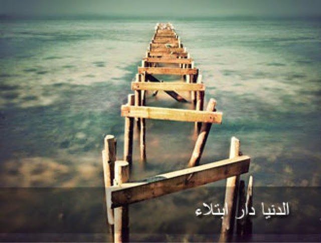 blogger-image-2074401388