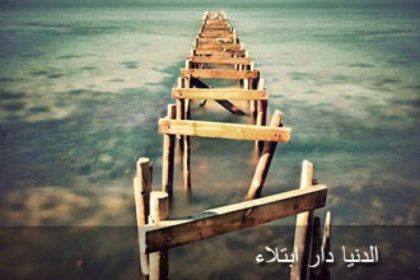 blogger-image-2074401388